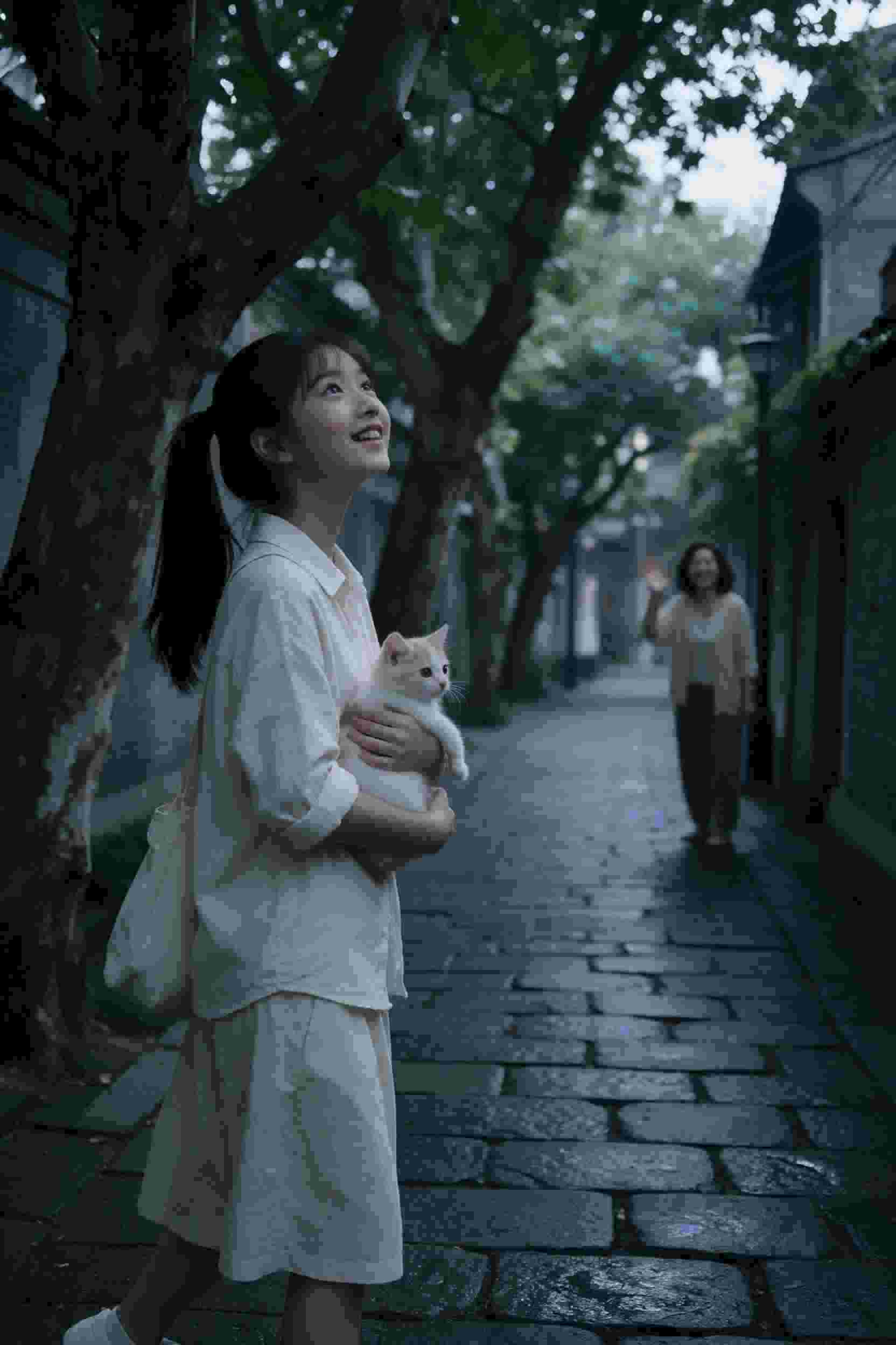 丁香花电影